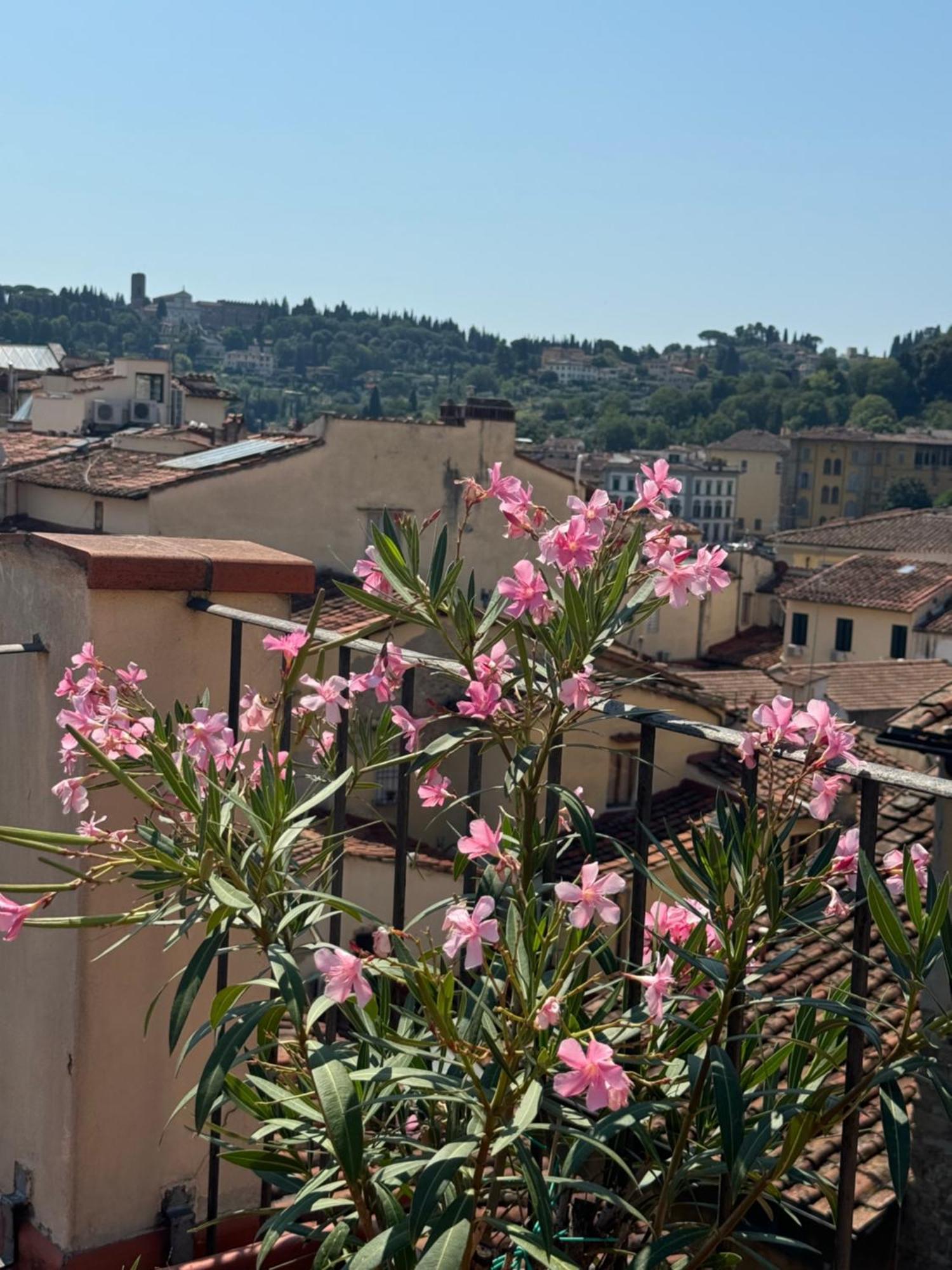 Firenze Panorama Suite & Terrace Florença Exterior foto